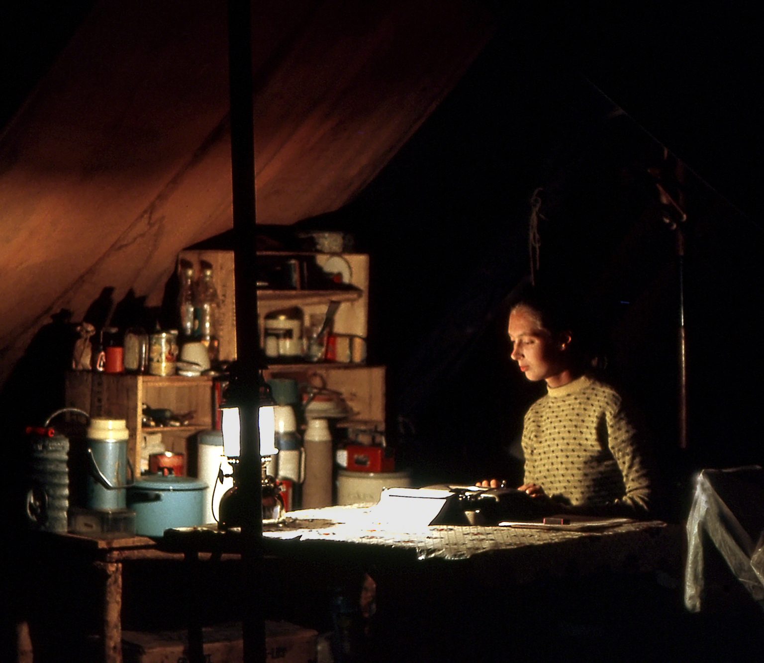 珍古德在貢貝的帳篷裡記錄她的研究筆記。（圖／the Jane Goodall Institute，Hugo van Lawick攝）